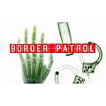 Border Patrol