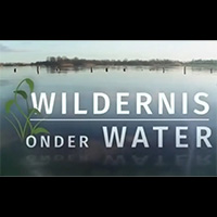 Wildernis Onder Water
